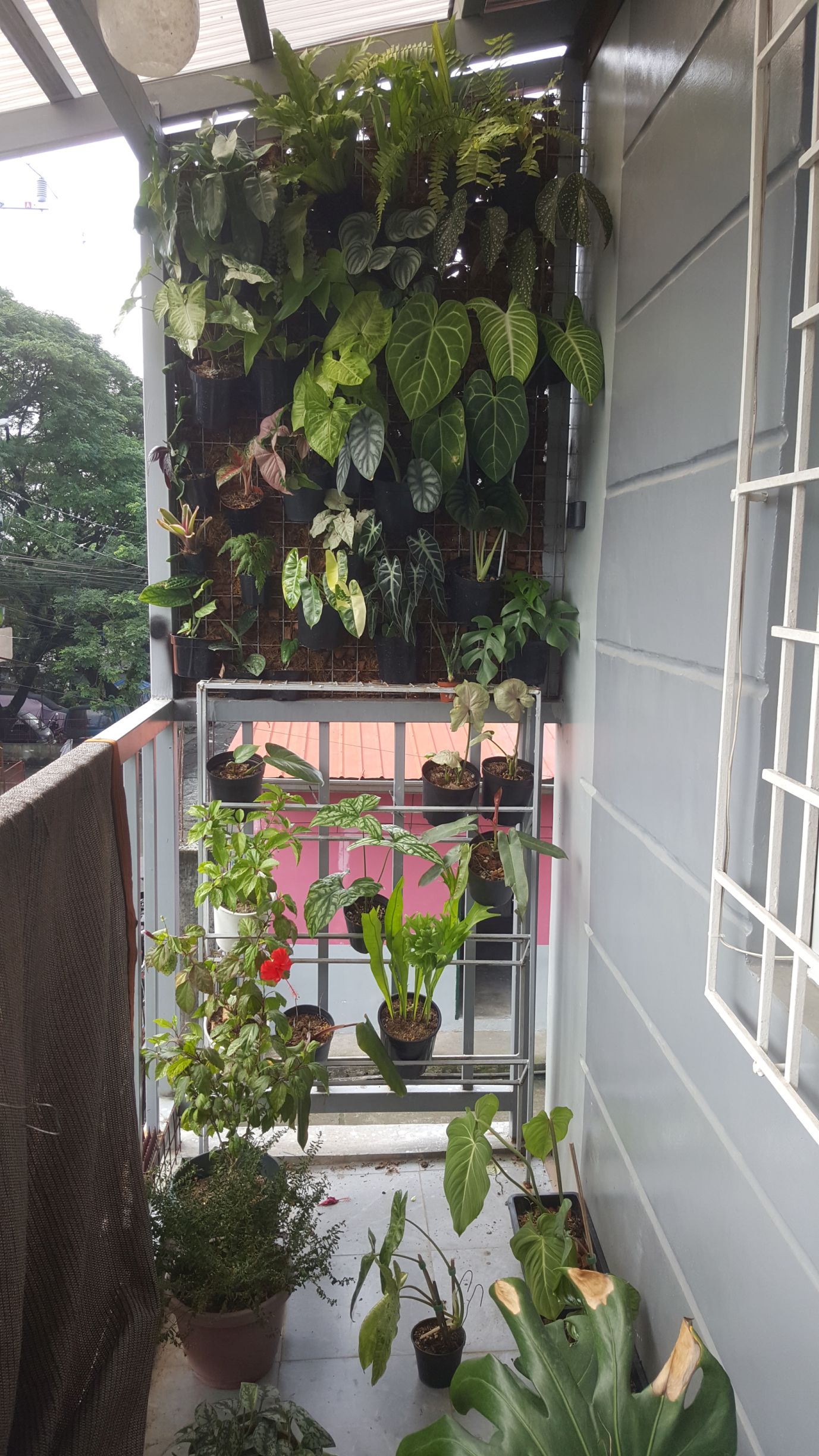 Prep House plants for hanging